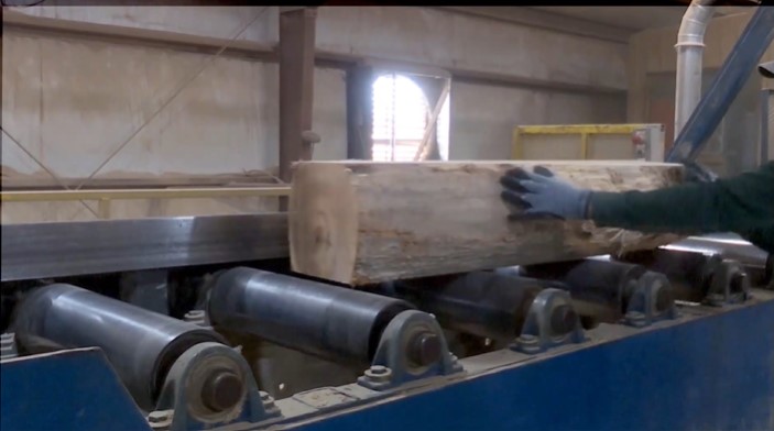 A cant being placed on a rolling conveyor by a worker 