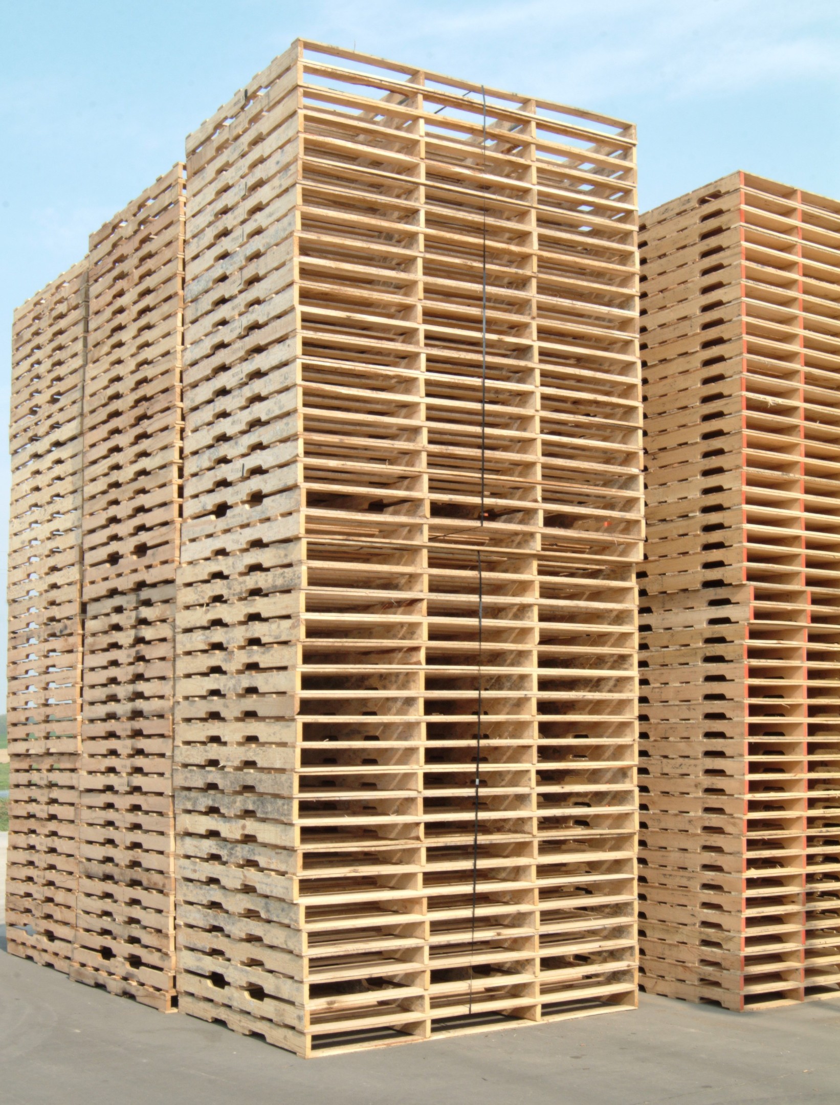 Several tall stacks of wood pallets