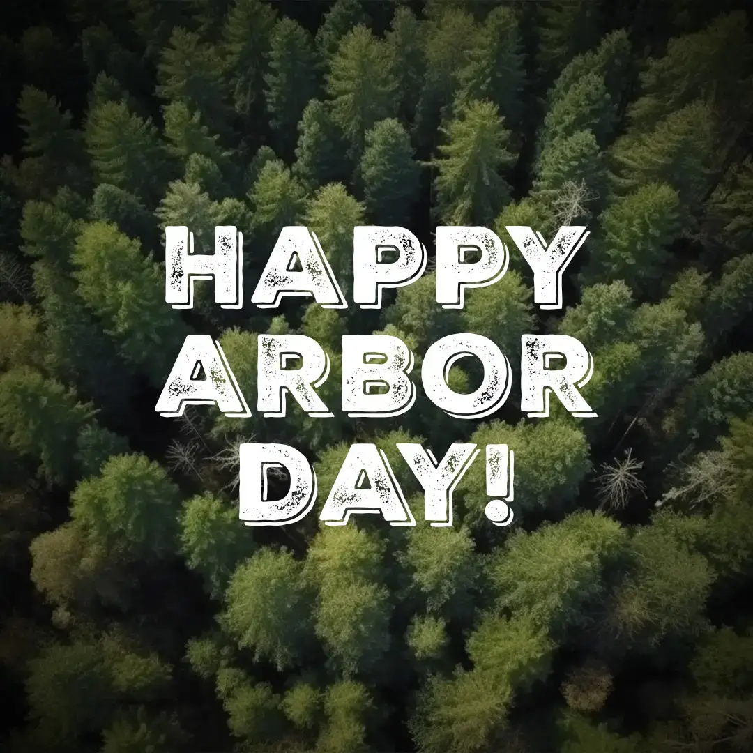 Millwood Gifts 100 Trees Through Arbor Day Foundation