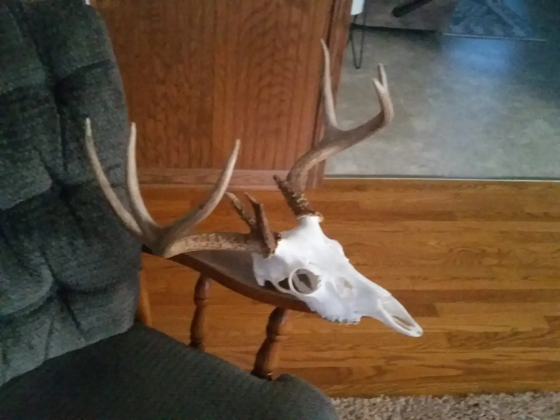 Seventh Annual Big Buck Contest Wraps Up