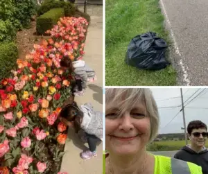 Three images in a collage showing Millwood Team members cleaning up their local neighborhoods.