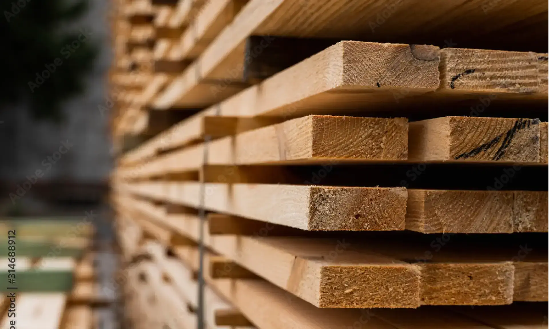 millwood.mockup.building.clear