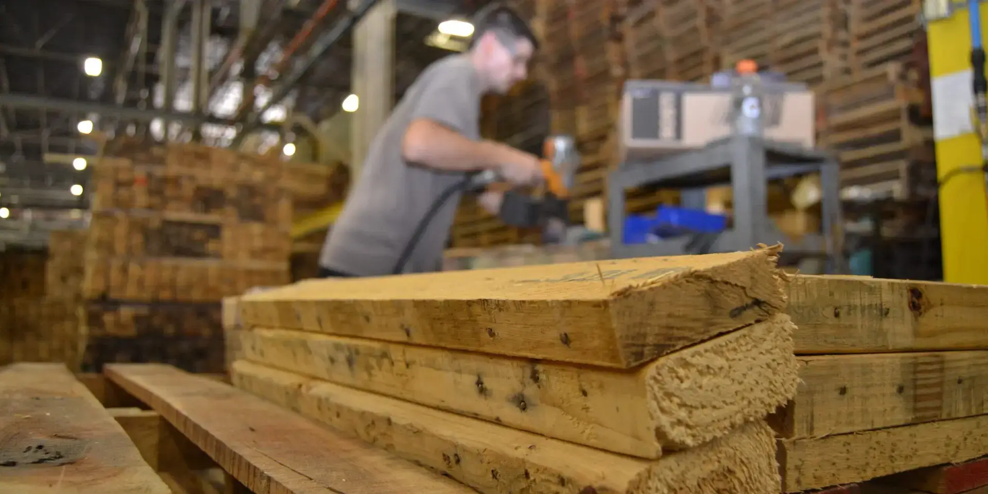 Recycling Solutions crop