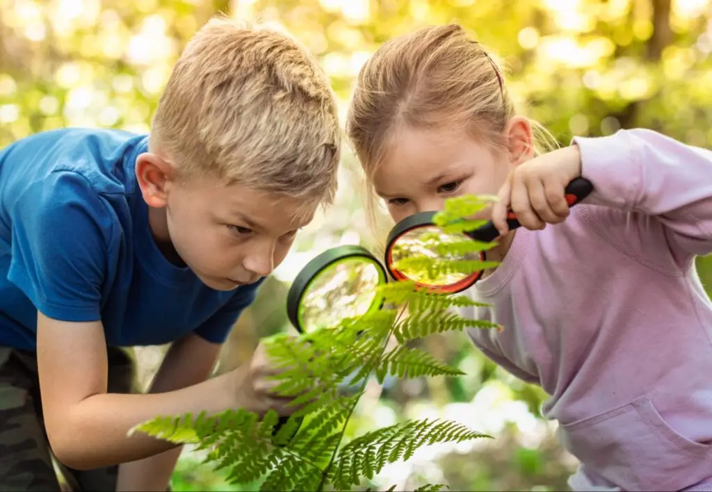 Young boy and girl with magnifying glass learning about sustainability solutions in nature.