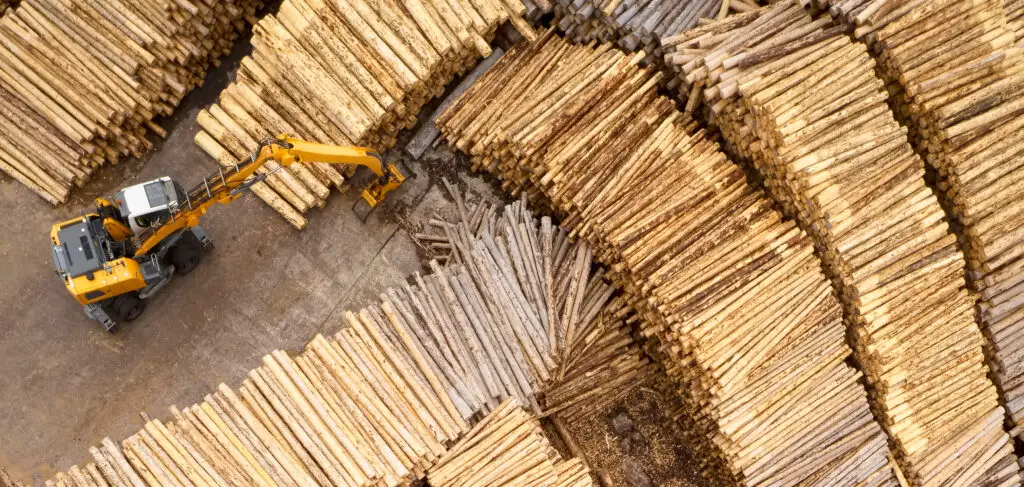 Sawmill at the start of the pallet lifecycle management process.